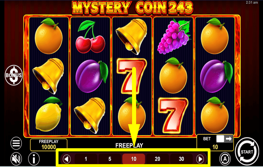 Mystery Coin 243 DETERMINE YOUR STAKE.