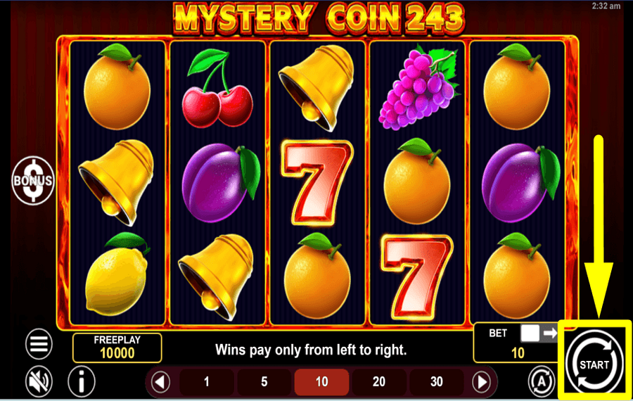 Mystery Coin 243 TIME TO GAMBLE.