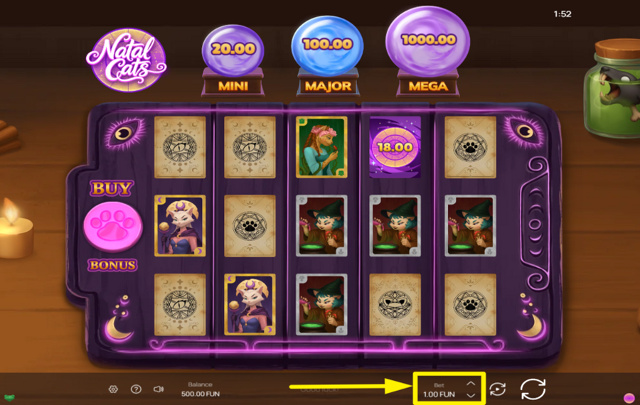 Natal Cats DECIDE ON YOUR WAGER.