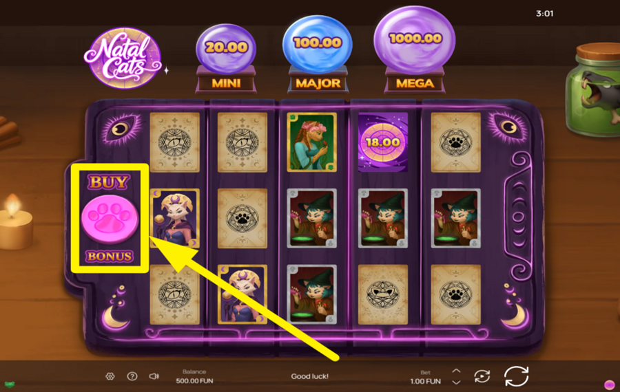 Natal Cats ADD TO THE FUN!