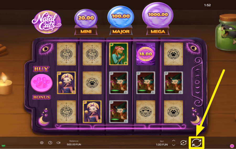 Natal Cats JOIN THE SPINNING!