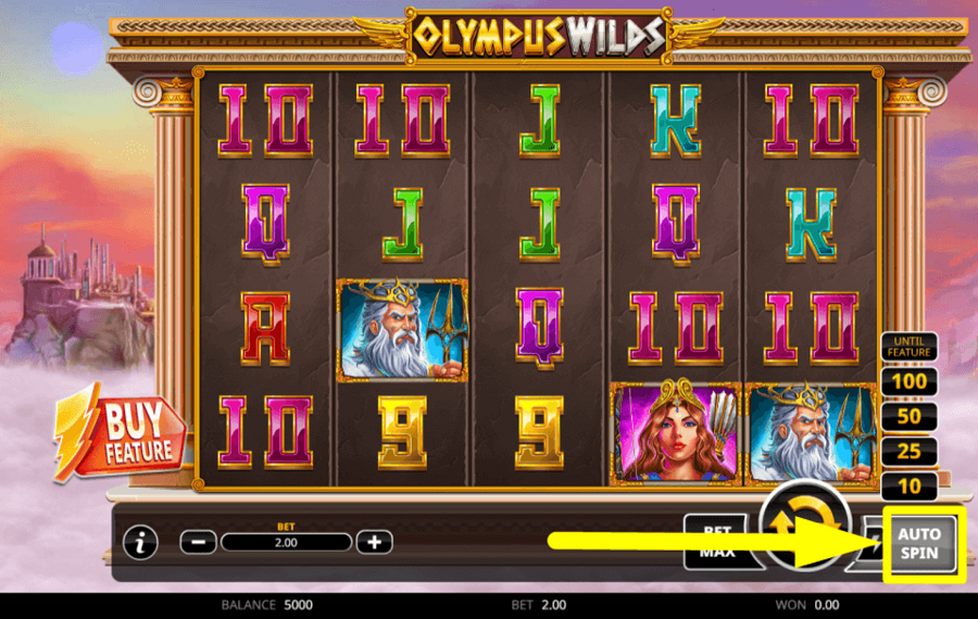 Olympus Wilds ENABLE THE AUTOPLAY FEATURE.