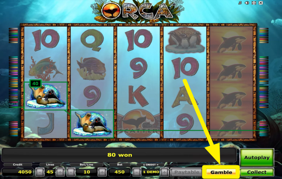 Orca VERSUCH DEIN GLÜCK!