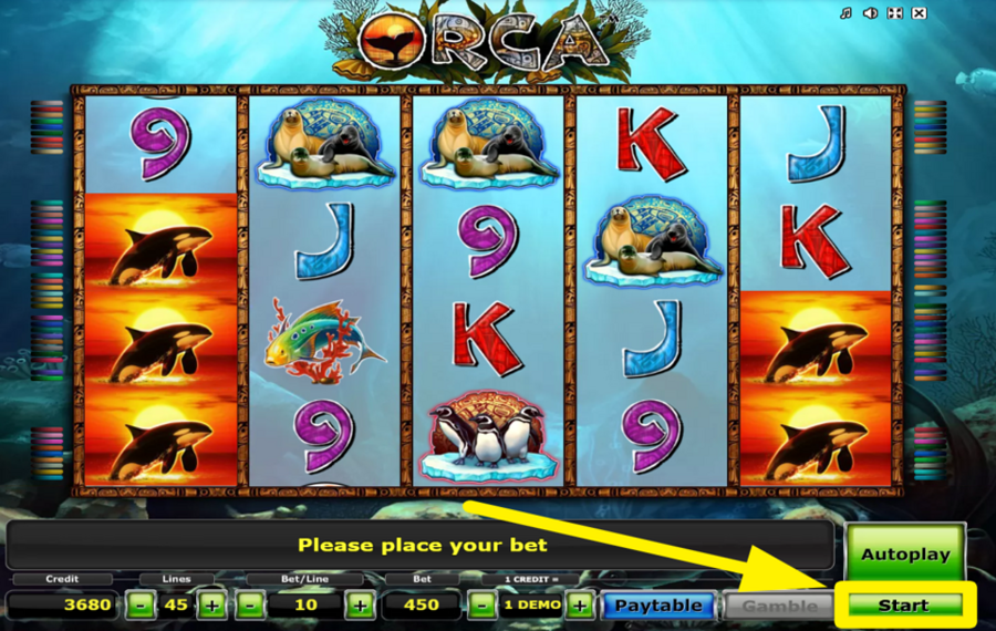 Orca MACH MIT bei der Action!