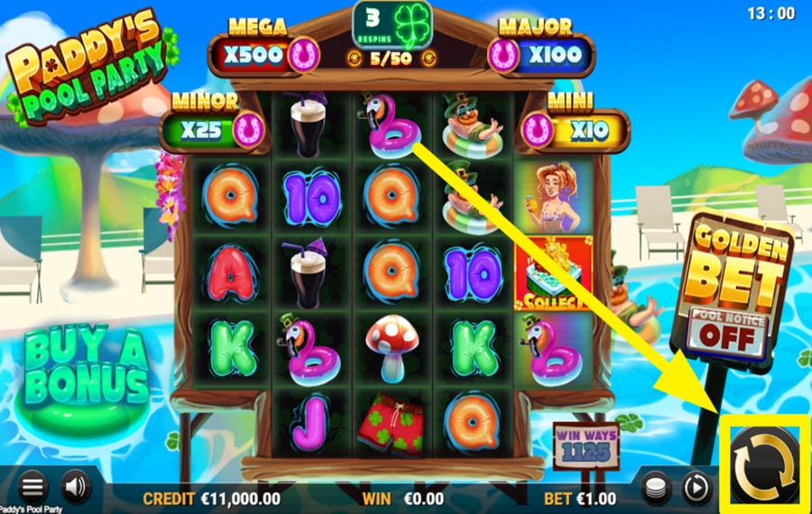 Paddys Pool Party ENTER THE ACTION!