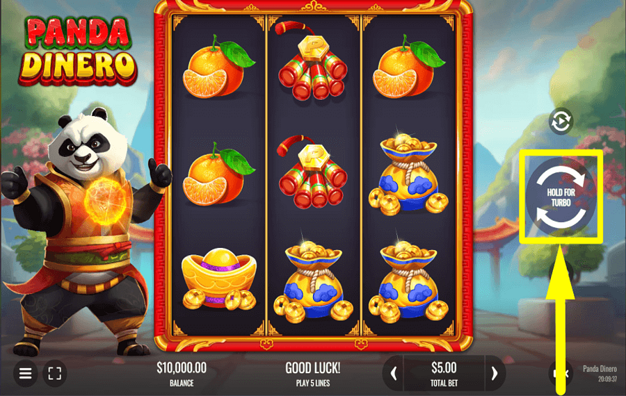 Panda Dinero START GAMBLING.