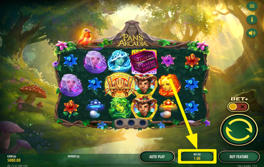 Pans Arcadia ОПРЕДЕЛИТЕ СВОЮ СТАВКУ.