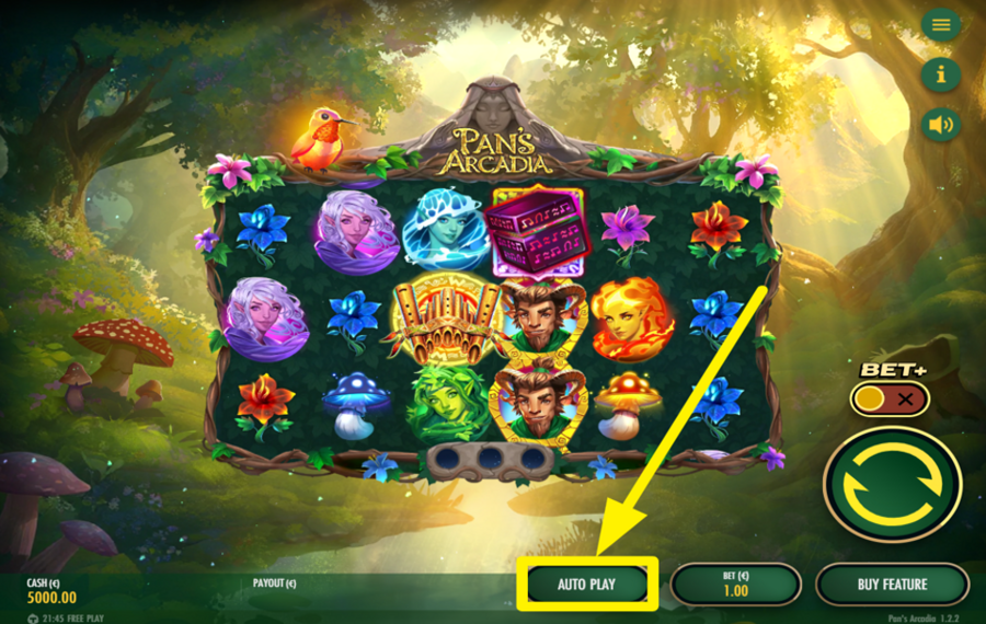 Pans Arcadia ВКЛЮЧИТЬ АВТОВОСПРОИЗВЕДЕНИЕ.