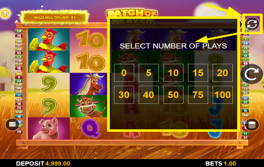 Patch of Heaven STARTEN SIE AUTOMATISCHE SPINS.