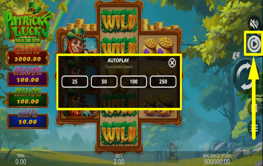 Patricks Luck Hold and Spin CONTINUE AUTOMATICALLY.