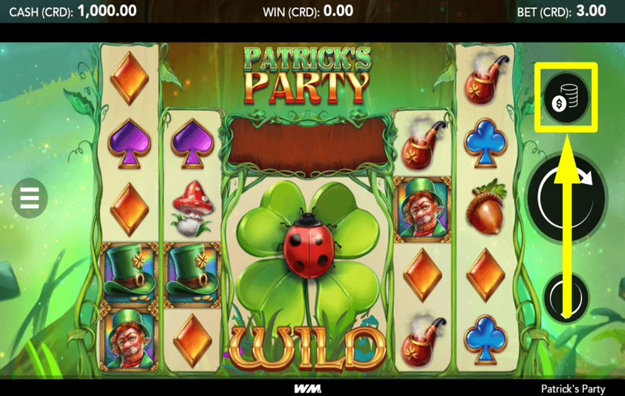 Patricks Party DECIDE THE WAGER.