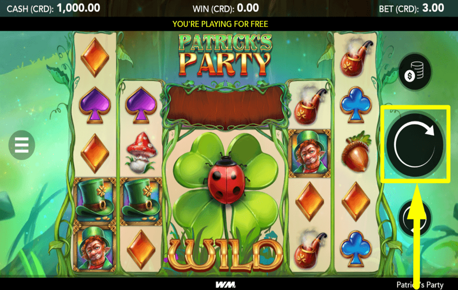 Patricks Party GO FOR A SPIN.