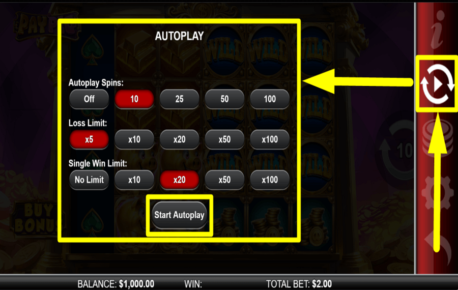 Pay Pig ВРАЩЕНИЕ АВТОМАТИЧЕСКИ.