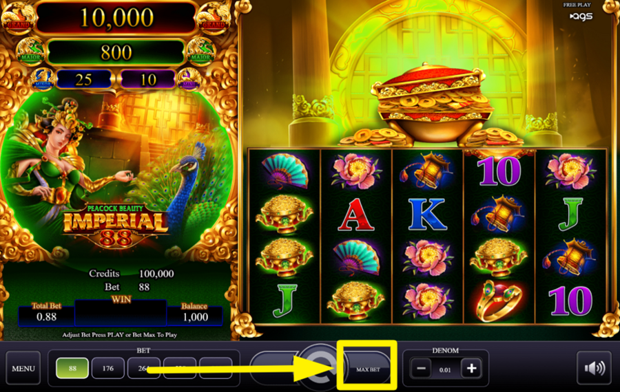 Peacock Beauty MAXIMIZE YOUR BET.