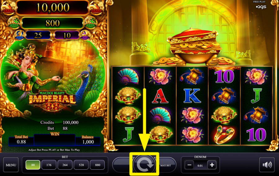 Peacock Beauty JOIN THE SPINNING.