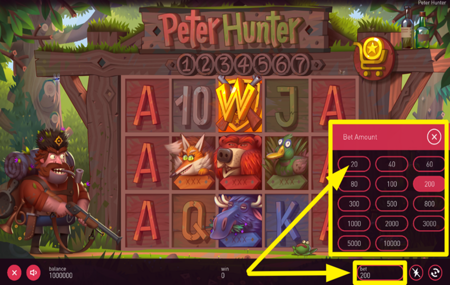 Peter Hunter DECIDE ON YOUR WAGER.