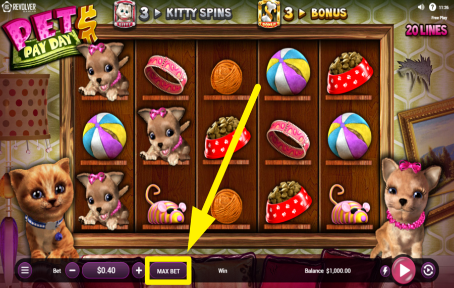Pets Pay Day ВЫБЕРИТЕ САМЫЙ ВЫСОКИЙ ПРЕДЕЛ СТАВКИ.