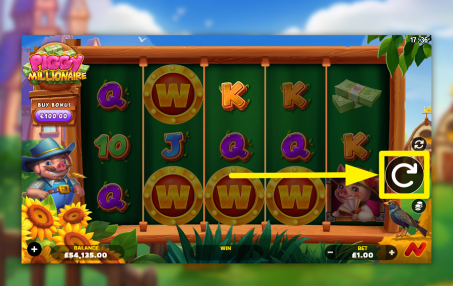 Piggy Millionaire ENTER THE ACTION!