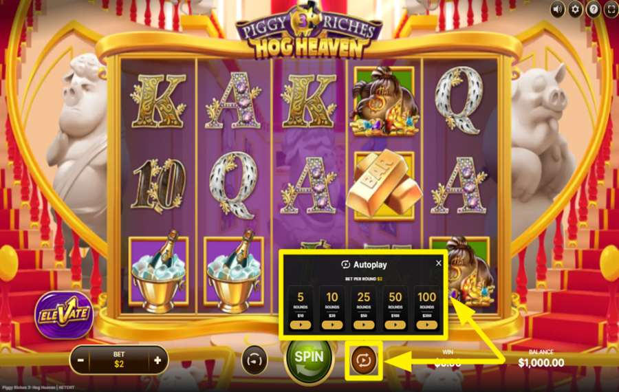 Piggy Riches 3 Hog Heaven ACTIVER LA LECTURE AUTOMATIQUE.