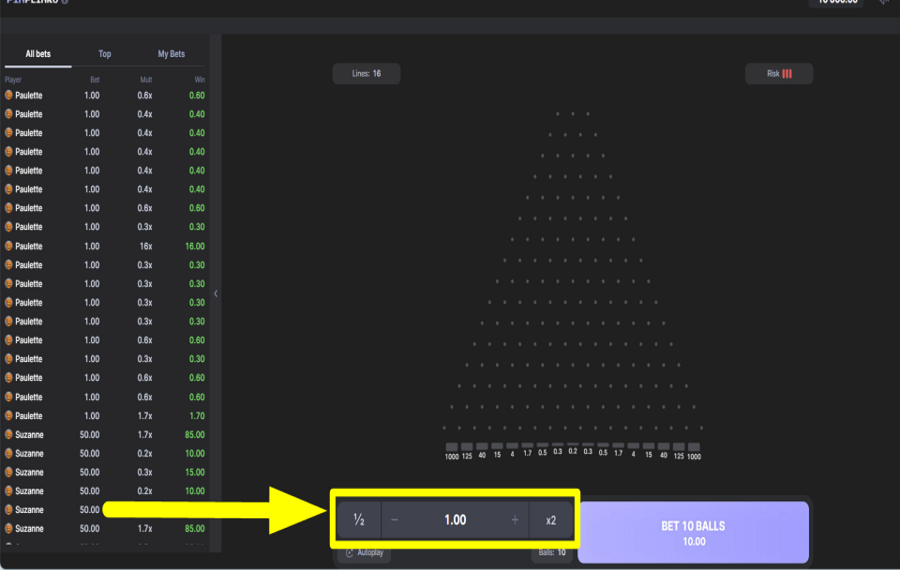 Pin Plinko ASSIGN YOUR WAGER.