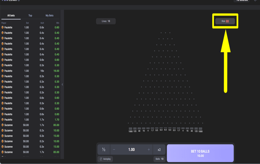 Pin Plinko ASSESS THE RISK.