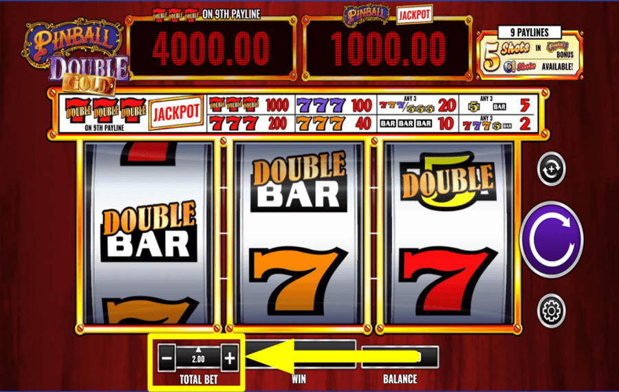 Pinball Double Gold DECIDE YOUR BET.