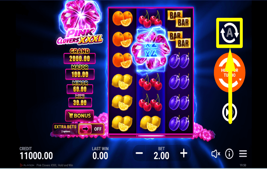 Pink Clovers XXXL Hold and Win ACTIVER LA LECTURE AUTOMATIQUE.