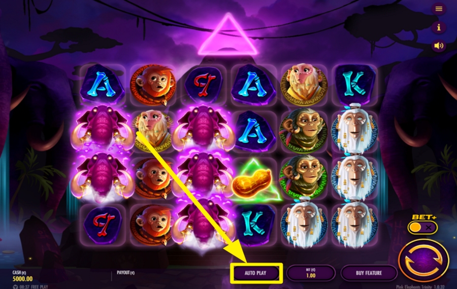 Pink Elephants Trinity Воспользуйтесь функцией автоматического вращения.