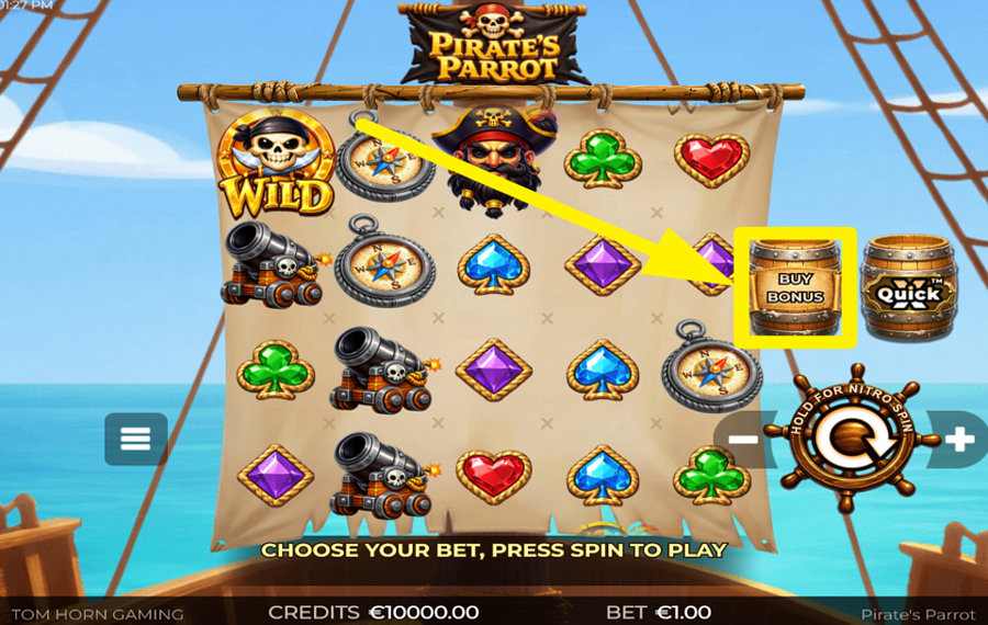 Pirates Parrot PURCHASE FREE SPINS.