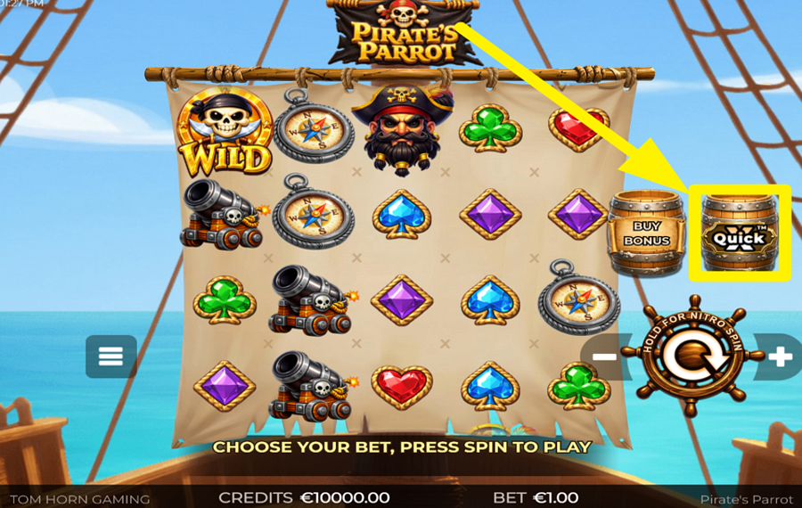 Pirates Parrot ENTER QUICKX MODE.