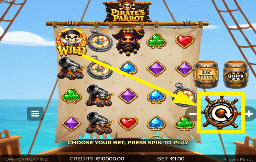 Pirates Parrot JOIN THE SPINNING!