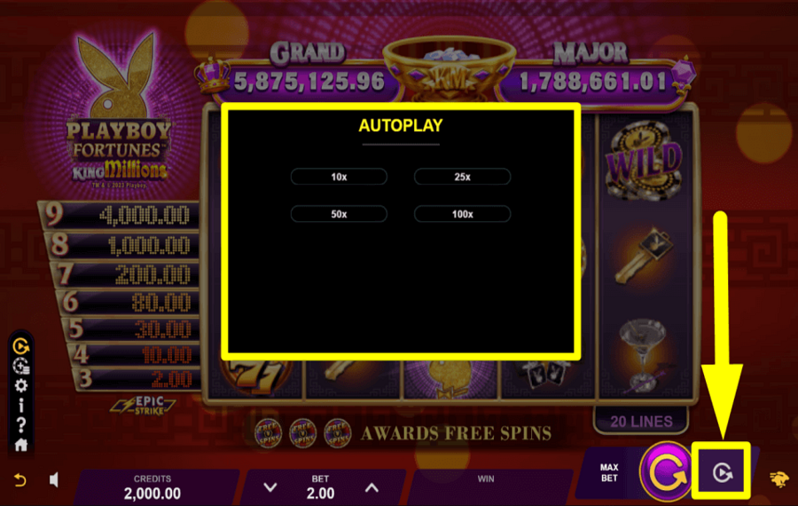 Playboy Fortunes King Millions PROCÉDEZ AVEC LA JEU AUTOMATIQUE.