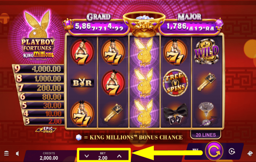 Playboy Fortunes King Millions PLACER VOTRE PARI TOTAL.