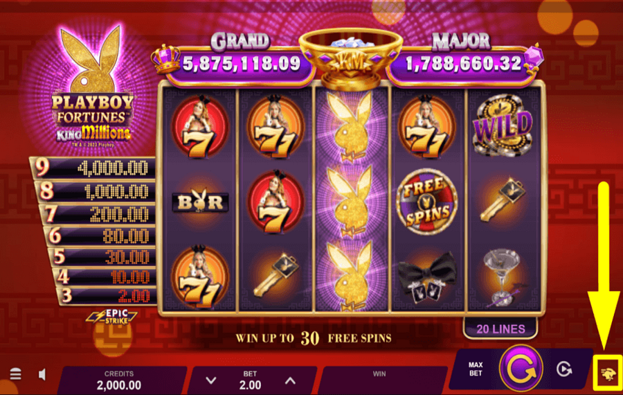 Playboy Fortunes King Millions ACCÉLÉRER LE RYTHME.