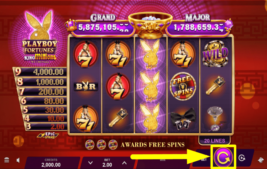 Playboy Fortunes King Millions JOUER LE JEU.