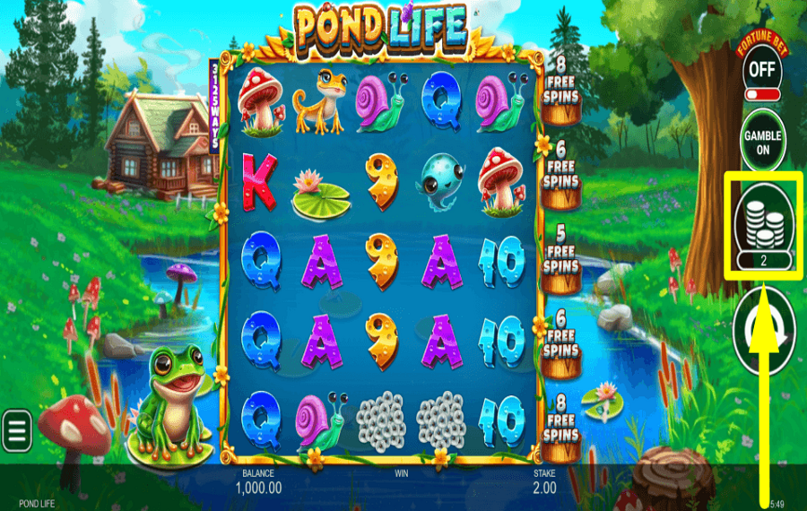 Pond Life ДЕЛАЙТЕ СТАВКУ.