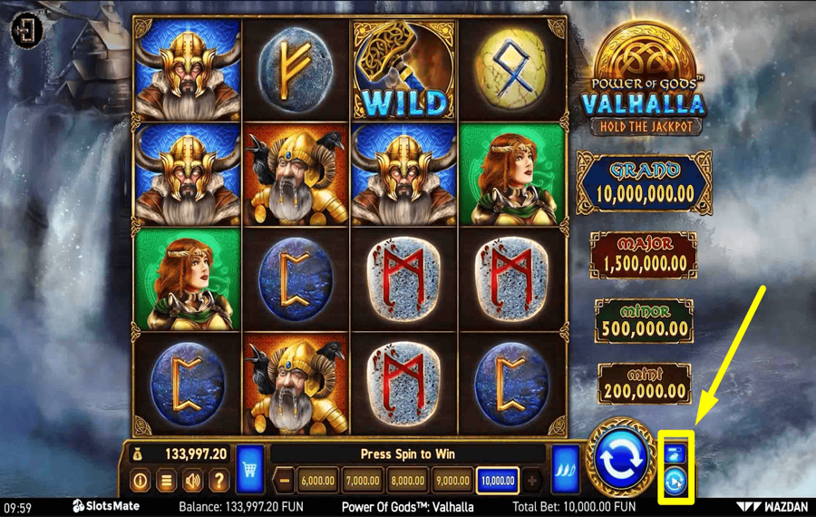 Power of Gods Valhalla Использование дополнительных функций «Автозапуск» и «Турбо».