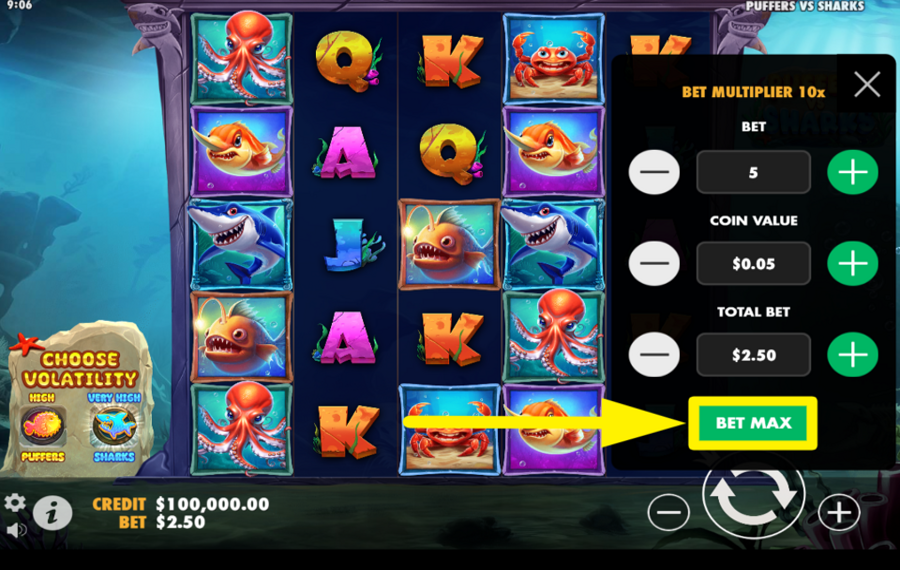 Puffers vs Sharks CHOOSE THE HIGHEST WAGER LIMIT.