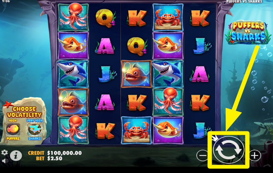 Puffers vs Sharks ADJUST YOUR BET LEVEL.