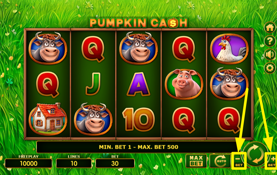 Pumpkin Cash AJUSTA TU APUESTA.