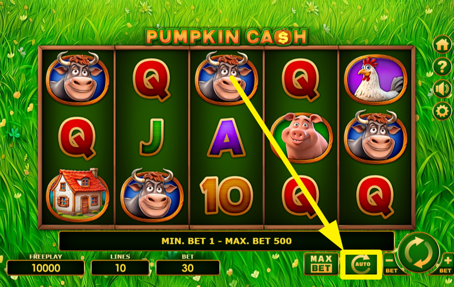 Pumpkin Cash ACTIVAR EL GIRO AUTOMÁTICO.
