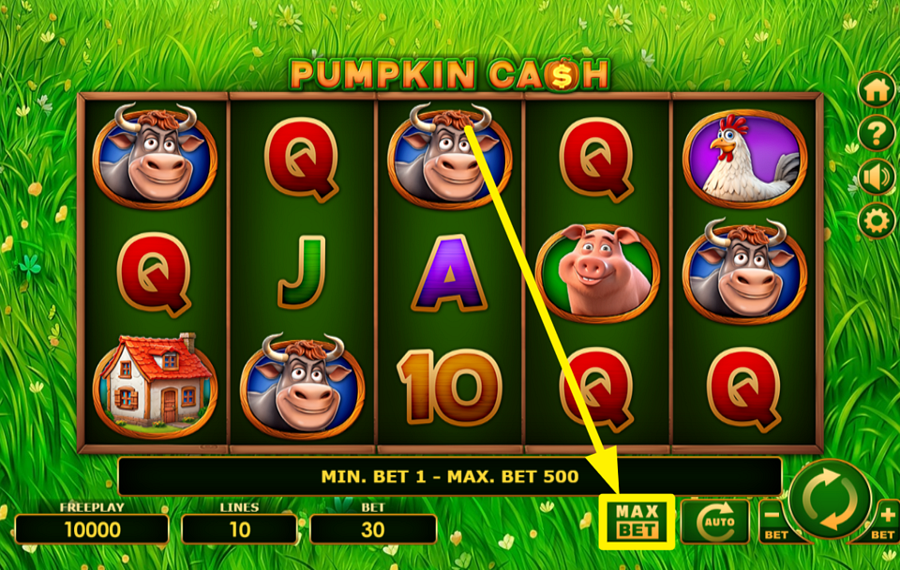 Pumpkin Cash ESTABLECER EL MONTO MÁXIMO DE LA APUESTA.