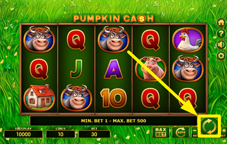 Pumpkin Cash GIRA LOS CARRETES.
