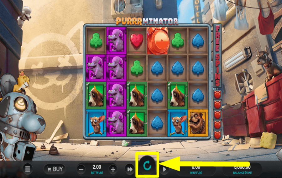 Purrrminator TIME TO PLAY.