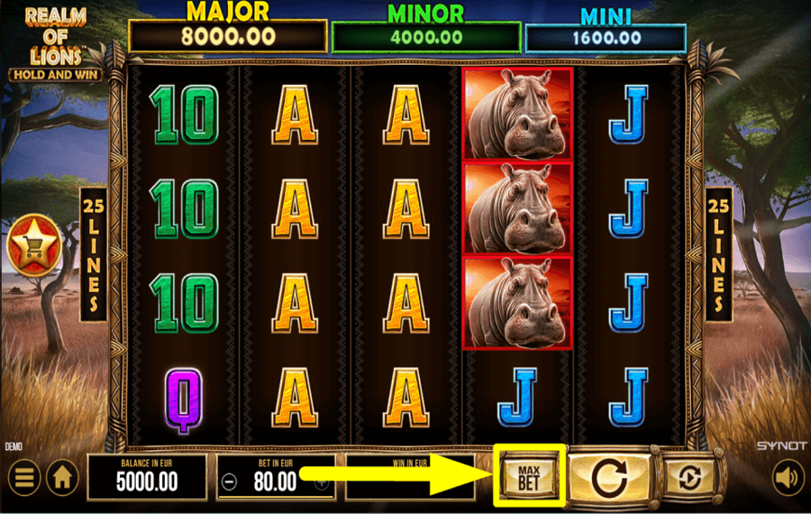 Realm of Lions WÄHLEN SIE DEN HÖCHSTEINSATZ.