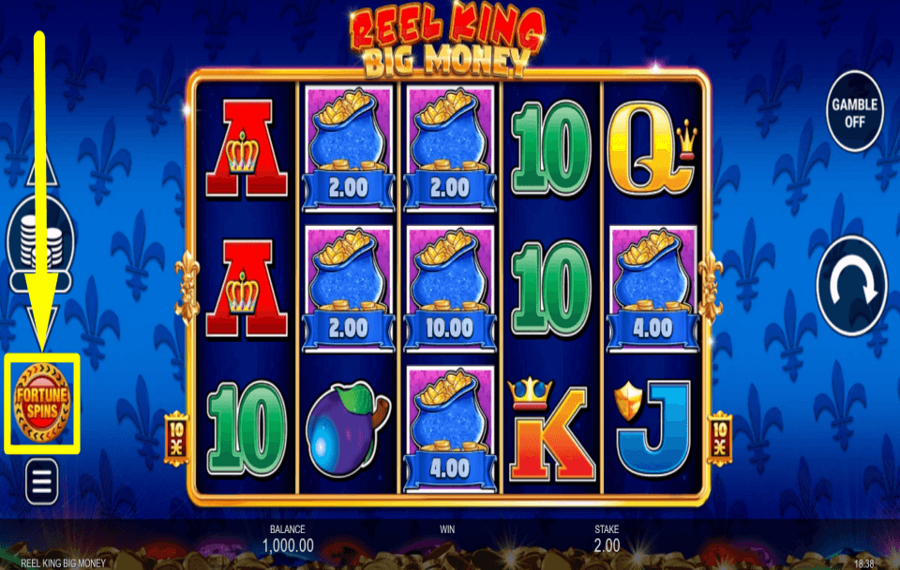 Reel King Big Money PLEDGE FORTUNE BET.