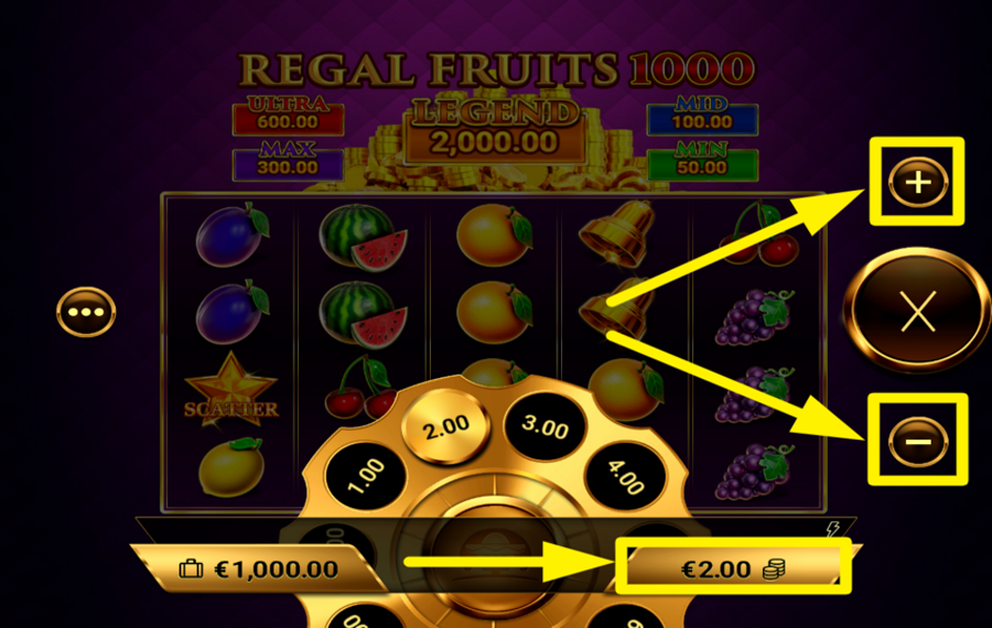 Regal Fruits 1000 ADJUST YOUR BETTING AMOUNT.