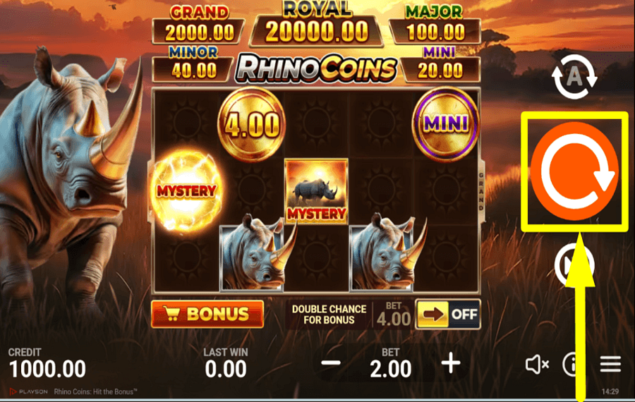 Rhino Coins Hit the Bonus НАЧНИТЕ ИГРАТЬ В АЗАРТНЫЕ ИГРЫ.