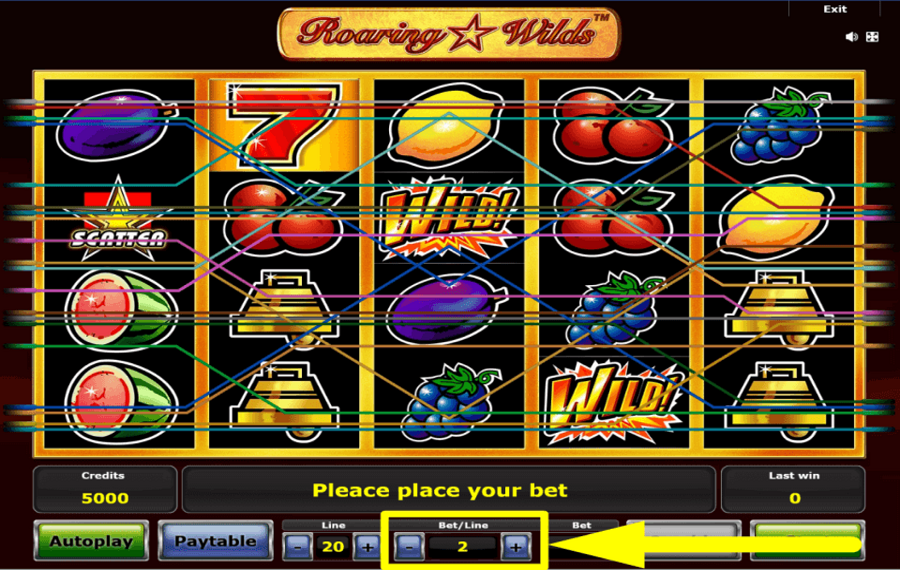 Roaring Wilds ASSIGN A BET AMOUNT.