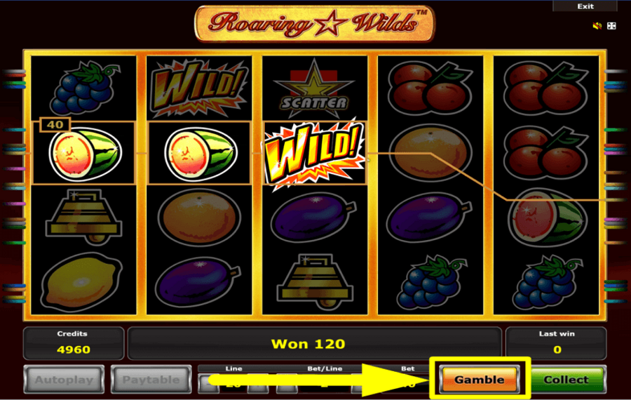 Roaring Wilds ATTEMPT TO GAMBLE.